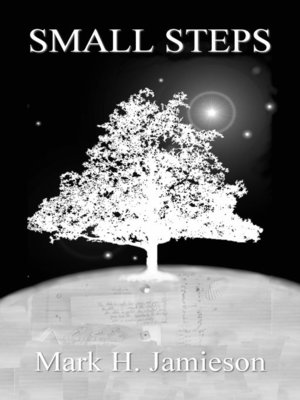 cover image of Small Steps